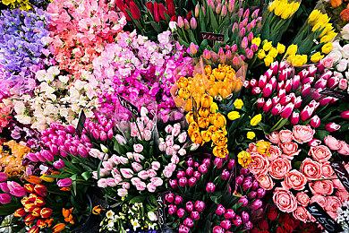 开放世界生存《翼星求生》配置需求公布 最低需GTX1060